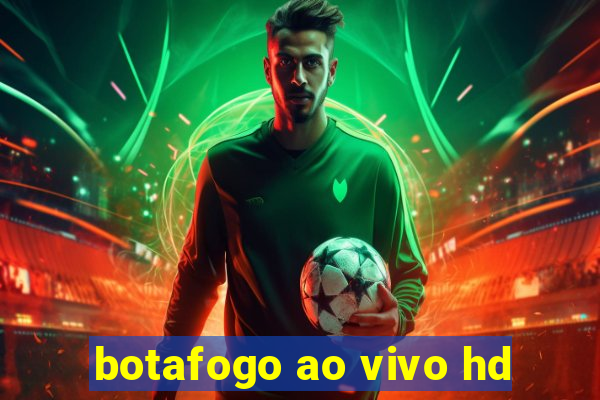 botafogo ao vivo hd